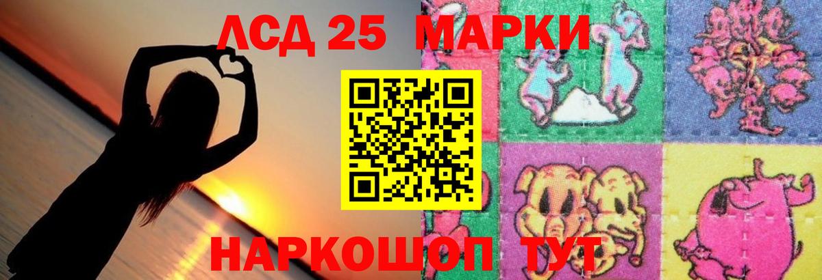 Галлюциногенные грибы Майский