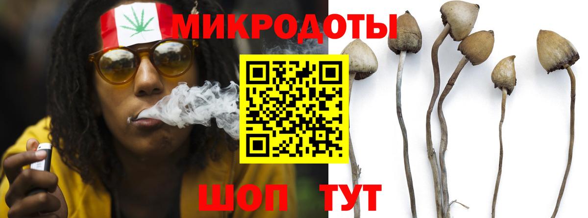 Псилоцибиновые грибы прущие грибы  Вход с VPN  Майский 